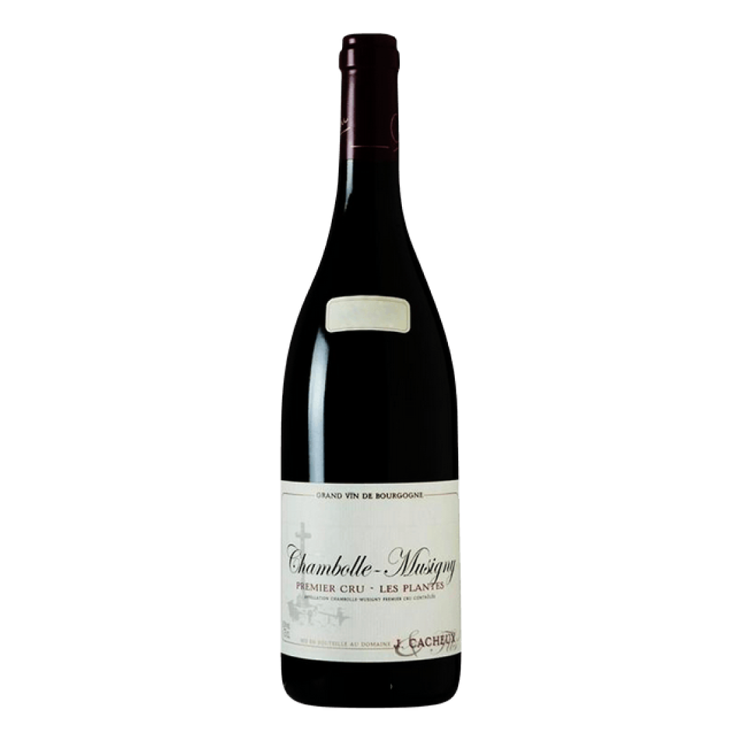Jacques Cacheux Chambolle Musigny Premier Cru Les Plantes｜2018