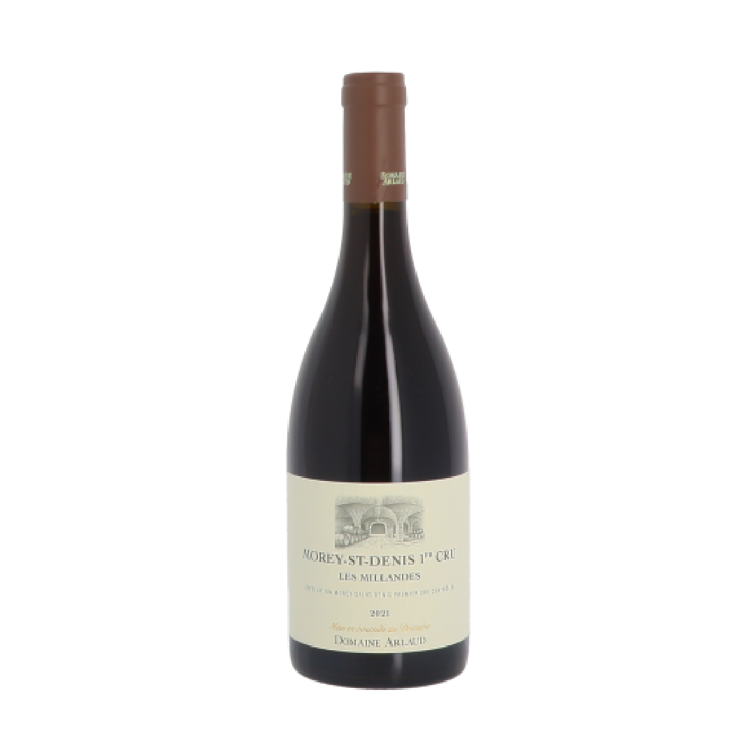 Jeremy Recchione Savigny les Beaune Cru Les Lavieres Rouge｜2021