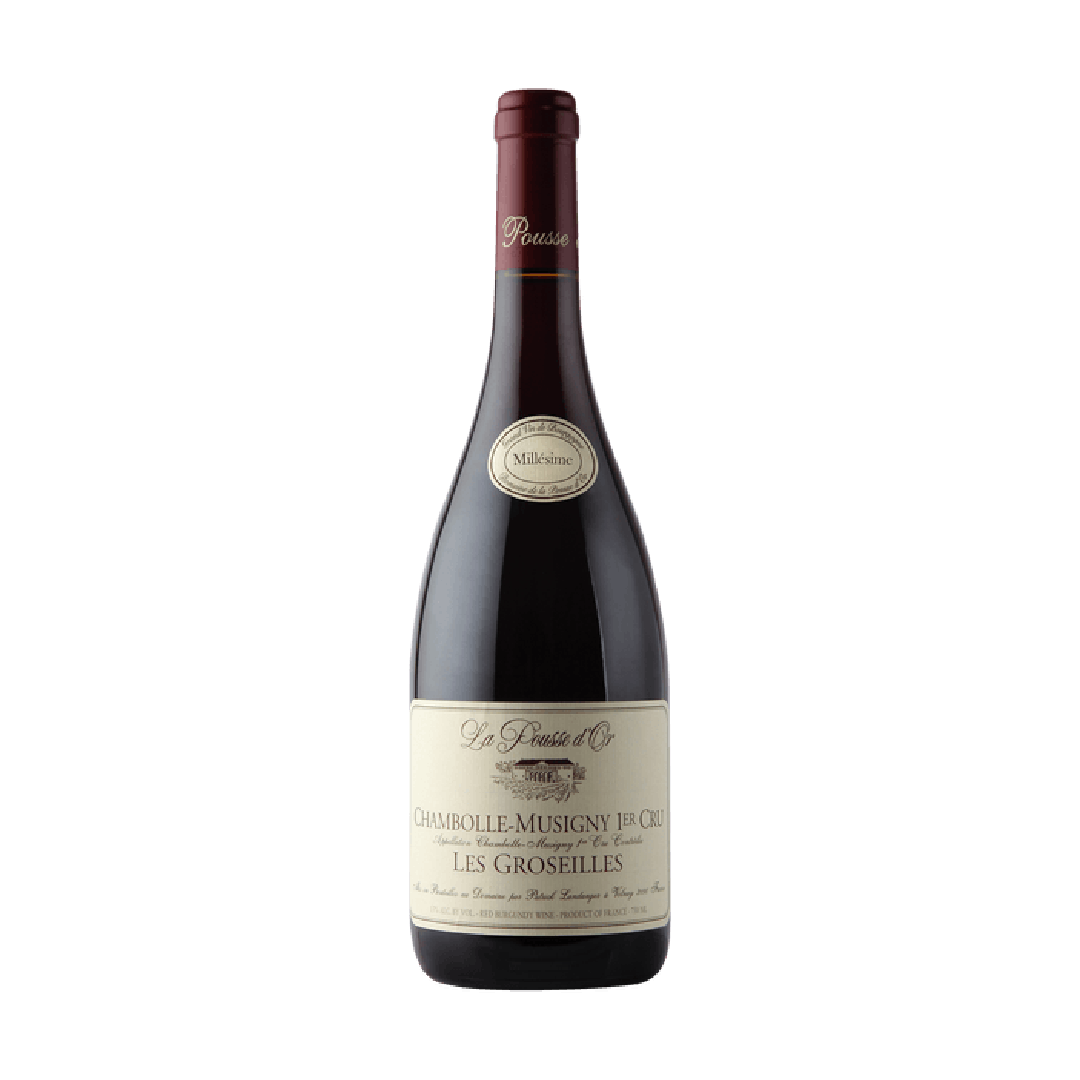 La Pousse d'Or Chambolle-Musigny Premier Cru Les Groseilles｜2011