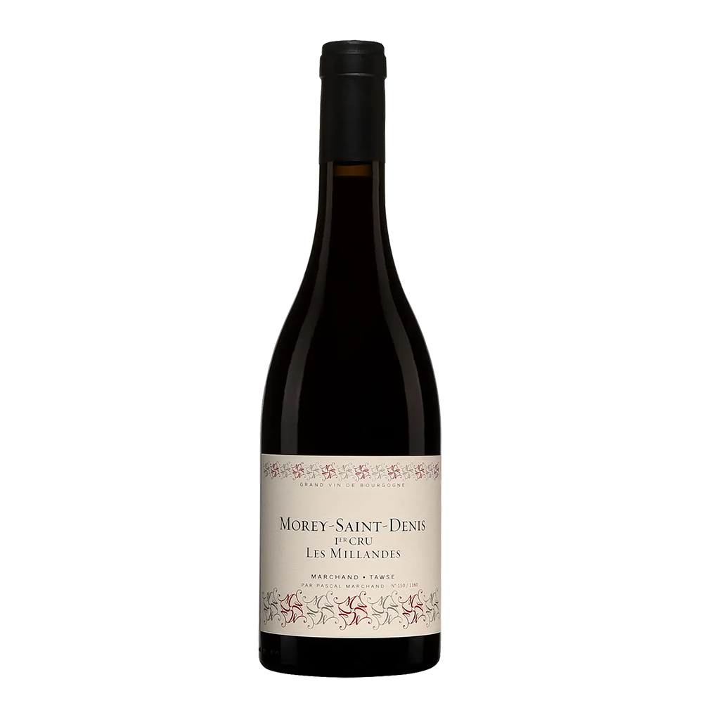 Marchand Tawse Morey Saint Denis Premier Cru Les Millandes｜2018