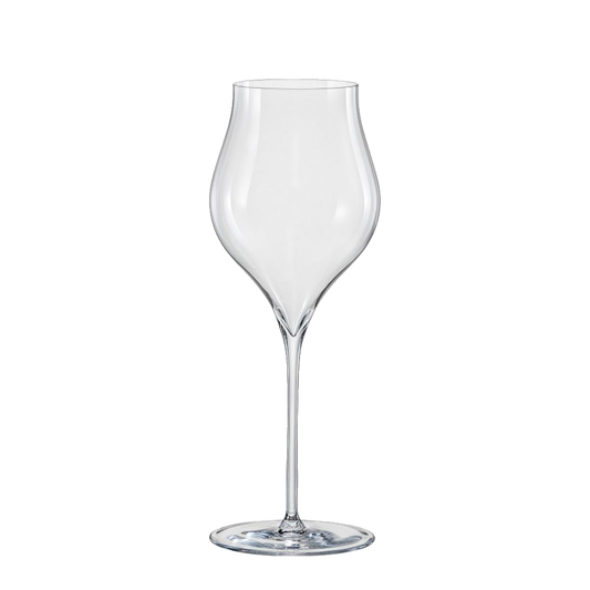 RONA Linea Umana人文系列 6號香檳杯 500ml